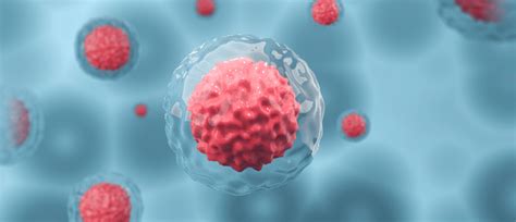 Cell culture process scale-up challenges for commercial-scale manufacturing of allogeneic ...