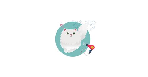 Persian Cat Grooming and Bathing guide - Blogs - Kuddle Social | Kuddle Pet