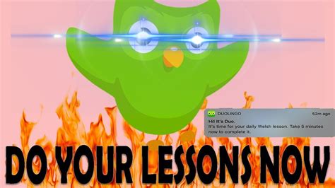 Best Drone: Gun Duolingo Bird Meme / Duolingo y Angry Birds tendrán un crossover inspirado en ...