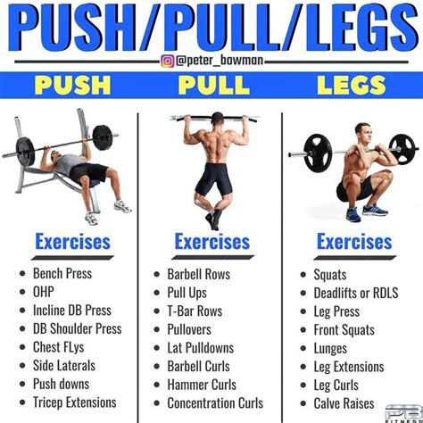 Push/Pull/Legs Weight Training Workout Schedule For 7 Days - GymGuider ...