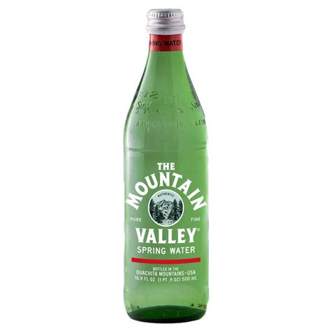 Buy ain Valley, Spring Water, Glass Bottle, 16.9 ounces (Pack of 12) Online at desertcartINDIA