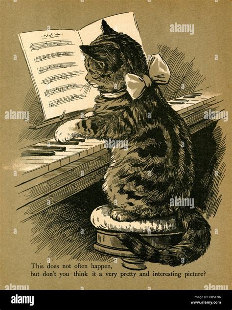 CAT PLAYING THE PIANO Stock Photo - Alamy