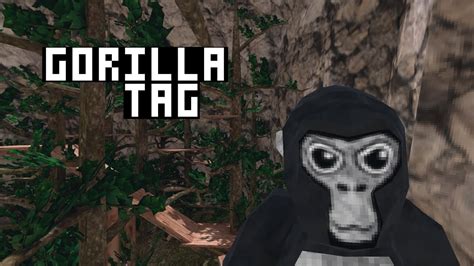 Mütevazı Tek Kişilik VR Projesi Gorilla Tag 675K Oyuncuya Ulaştı ...