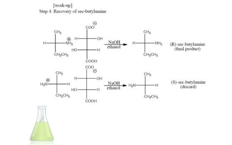 Sec-butylamine Synthesis and Analysis