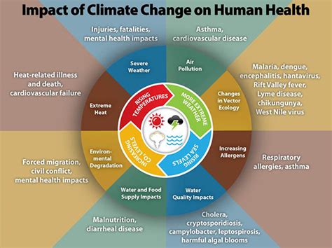 Impact of Climate Change on Human Health | U.S. Climate Resilience Toolkit