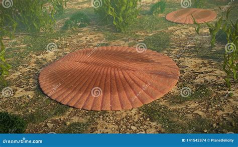 Dickinsonia, Extinct Creatures of the Ediacaran Era, One of the First ...