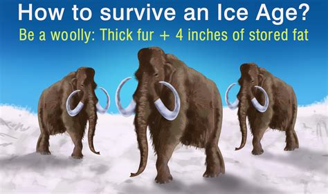 16 Fascinating Facts About Woolly Mammoths That'll Blow You Away