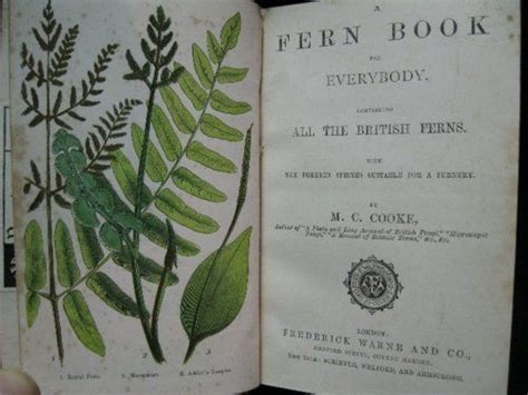 17 Best images about Fern Books on Pinterest | London, Victorian and Leaves