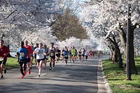 5k Runs in Virginia 2023 - 2024 | Let's Do This