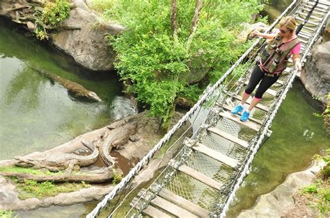 Disney's Animal Kingdom Wild Africa Trek Experience! - Fun Learning Life