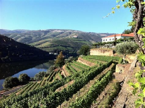 Douro Valley Wine Tour from Porto - Porto | Project Expedition