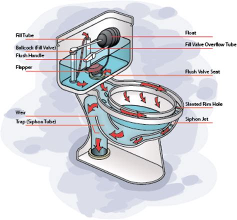 Siphonic & Washdown: Get to know these flushing systems!