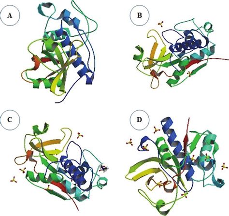 Molecular structure of ficin in its A, B, C, and D isoforms. Ficin ...