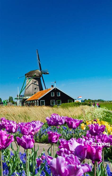 Windmills, Amsterdam | by eTips Travel Apps Places Around The World, Travel Around The World ...