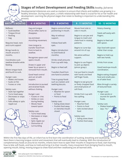 Baby Milestones Development Stages - vrogue.co