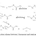 Density functional theory (B3LYP/6-311+G**) study of some semicarbazones formation mechanism ...