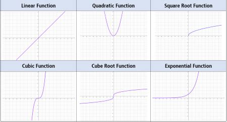 Quartic Parent Function