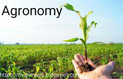 AGRONOMY COURSE | Baamboozle - Baamboozle | The Most Fun Classroom Games!