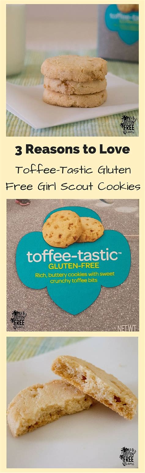 Toffee-Tastic Gluten Free Girl Scout Cookies | Gluten free girl scout cookies, Girl scout ...