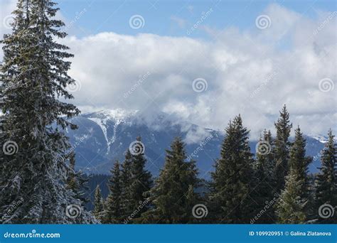 Mountain in the Winter.Beautiful Panoramic View of the Rhodope ...