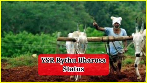 YSR Rythu Bharosa Status 2024 List Check Beneficiary Release Date