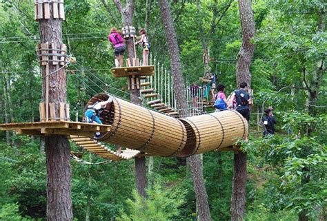 zip lines and adventure courses near NYC Adventure Park, Outdoors ...