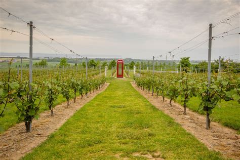 Wolfville wineries: The best Annapolis Valley vineyards | Annapolis ...