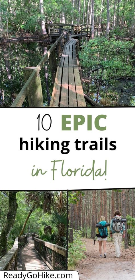 Best hiking trails in florida – Artofit