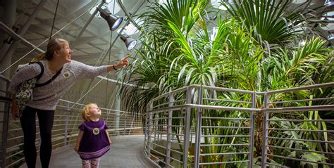 Osher Rainforest | California Academy of Sciences