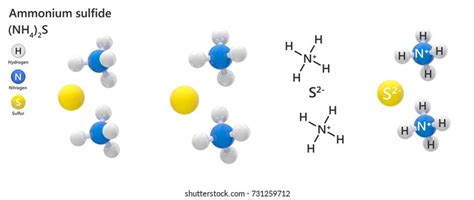 Ammonium Sulfide Formula Nh42s Due Smell: ilustración de stock ...