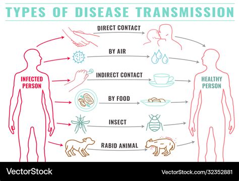 Disease transmission types-12 Royalty Free Vector Image