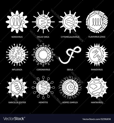 Viruses types icon set in flat style Royalty Free Vector