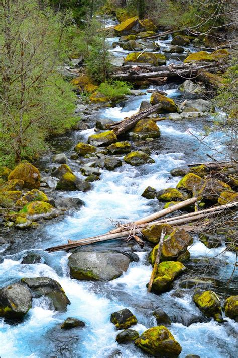 Blue Pool & Tamolitch Falls gorgeous hike in Oregon | SEEK | Oregon hikes, Blue pool oregon ...