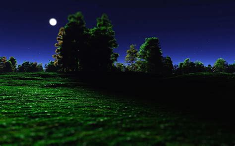 Moonlight Landscape Wallpapers - 4k, HD Moonlight Landscape Backgrounds ...