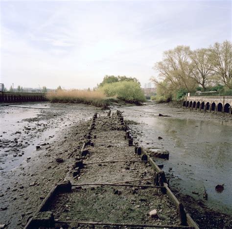 In pictures: The exalted Lea Valley