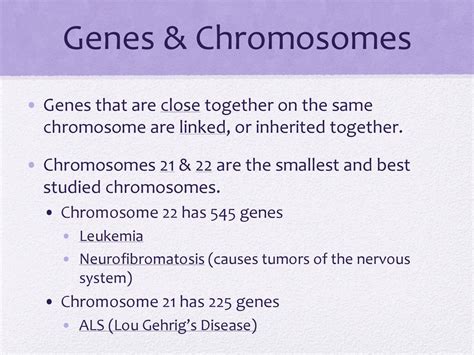 14-2 Human Chromosomes Fill-in Notes Questions to think about: - ppt ...