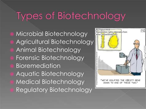 PPT - Biotechnology PowerPoint Presentation, free download - ID:1604291