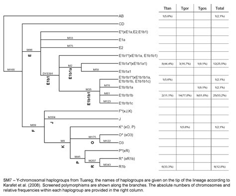 Y-DNA haplogroups in populations of Sub-Saharan Africa - Wikipedia