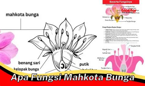 Fungsi Penting Mahkota Bunga: dari Penarik Penyerbuk hingga Inspirasi Seni - Biotifor