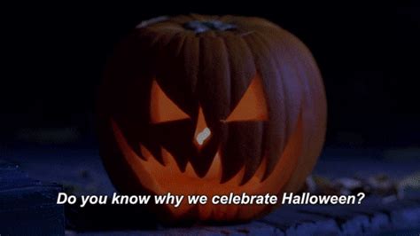 Pumpkin GIFs - Find & Share on GIPHY