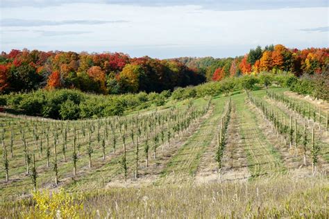 Traverse City Fall Colors: The Most Beautiful Drive through Northern ...