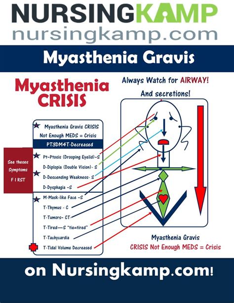 Pin on Nursing Mnemonics,nemonics, Acronyms, Nursing Students, Labs ...