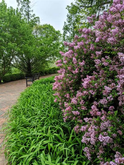 One of My Favorite Parks in the Spring - Glenwood Gardens