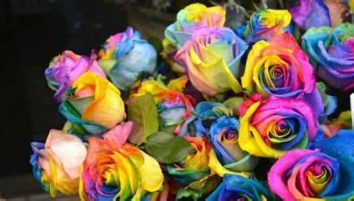 How To Make DIY Rainbow Roses | Perfect Flower Idea For Spring | Diy rainbow, Diy flower ...