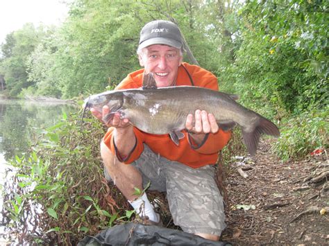 Rhode Island Carp Fishing: State Record Brown Bullhead or Big Channel Cat