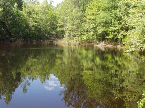 150 acres in Pike County, Alabama