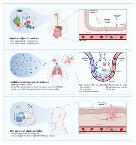 Micro & Nano-plastics: Exploring Its Impact On Your Health - TRULY HEAL