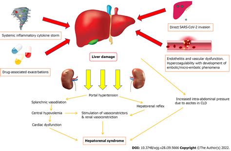 COVID-19 and hepatorenal syndrome