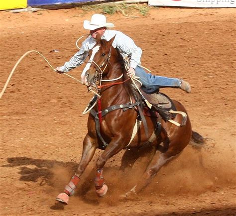 Flickriver: Photoset 'Calf Roping ' by Outdoor Exposure by Denise