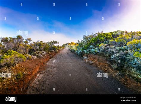 Hiking trail at volcanic area of Reunion Island Stock Photo - Alamy